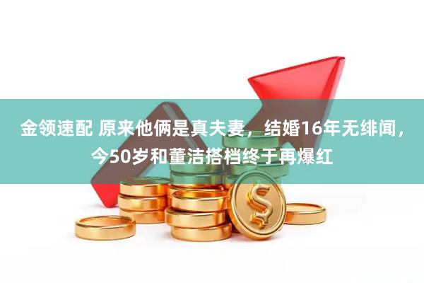 金领速配 原来他俩是真夫妻，结婚16年无绯闻，今50岁和董洁搭档终于再爆红