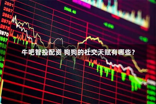 牛吧智投配资 狗狗的社交天赋有哪些？