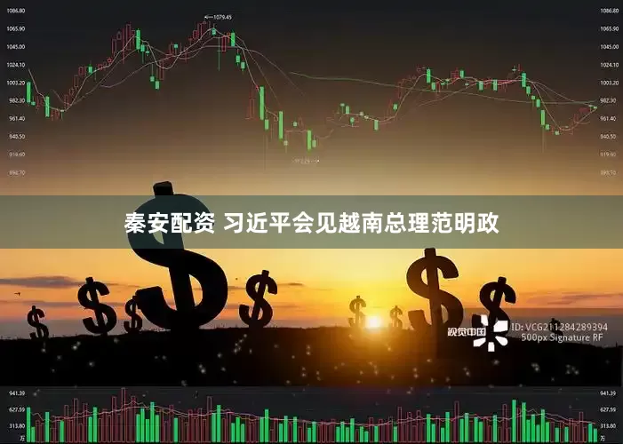 秦安配资 习近平会见越南总理范明政