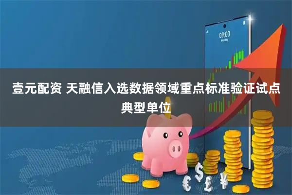 壹元配资 天融信入选数据领域重点标准验证试点典型单位